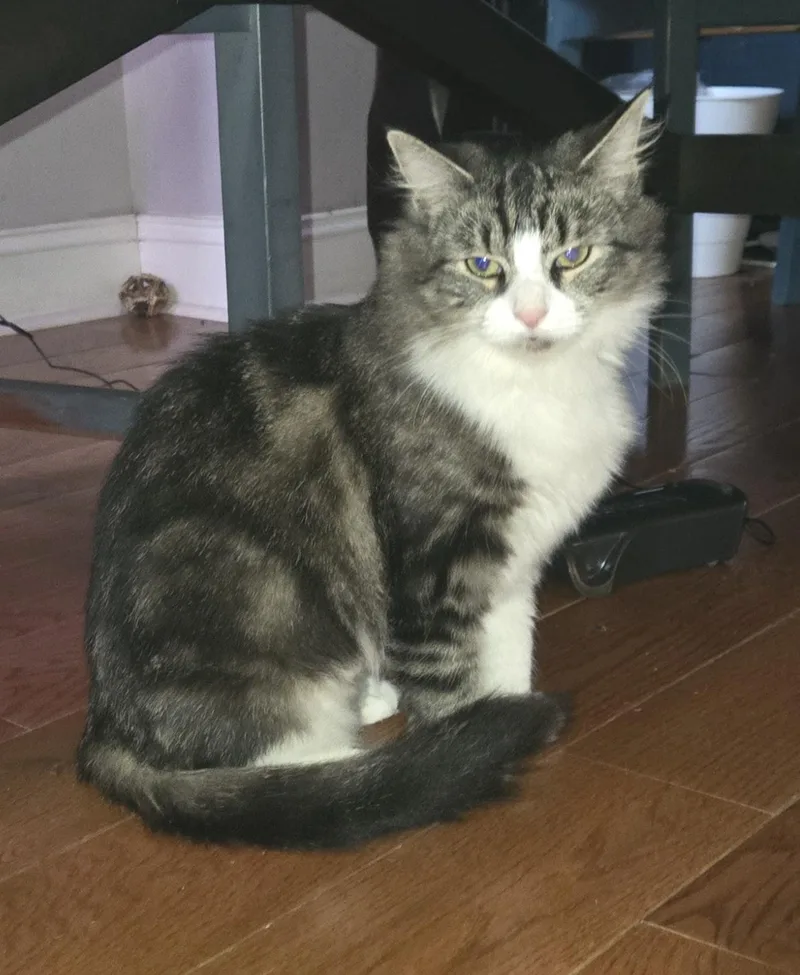 Layla Larchwood thumbnail 4