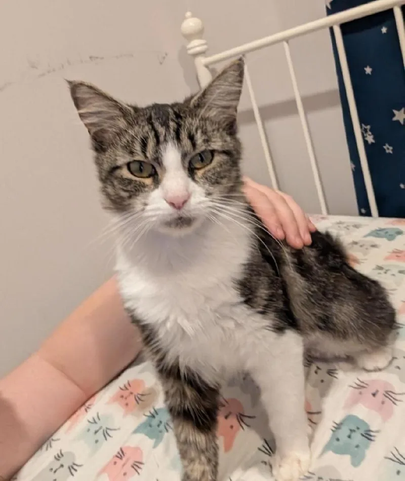 Layla Larchwood thumbnail 5