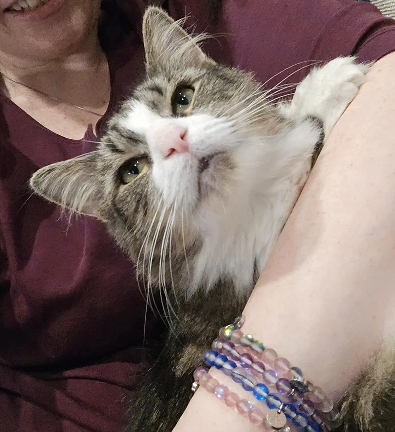 Layla Larchwood thumbnail 6