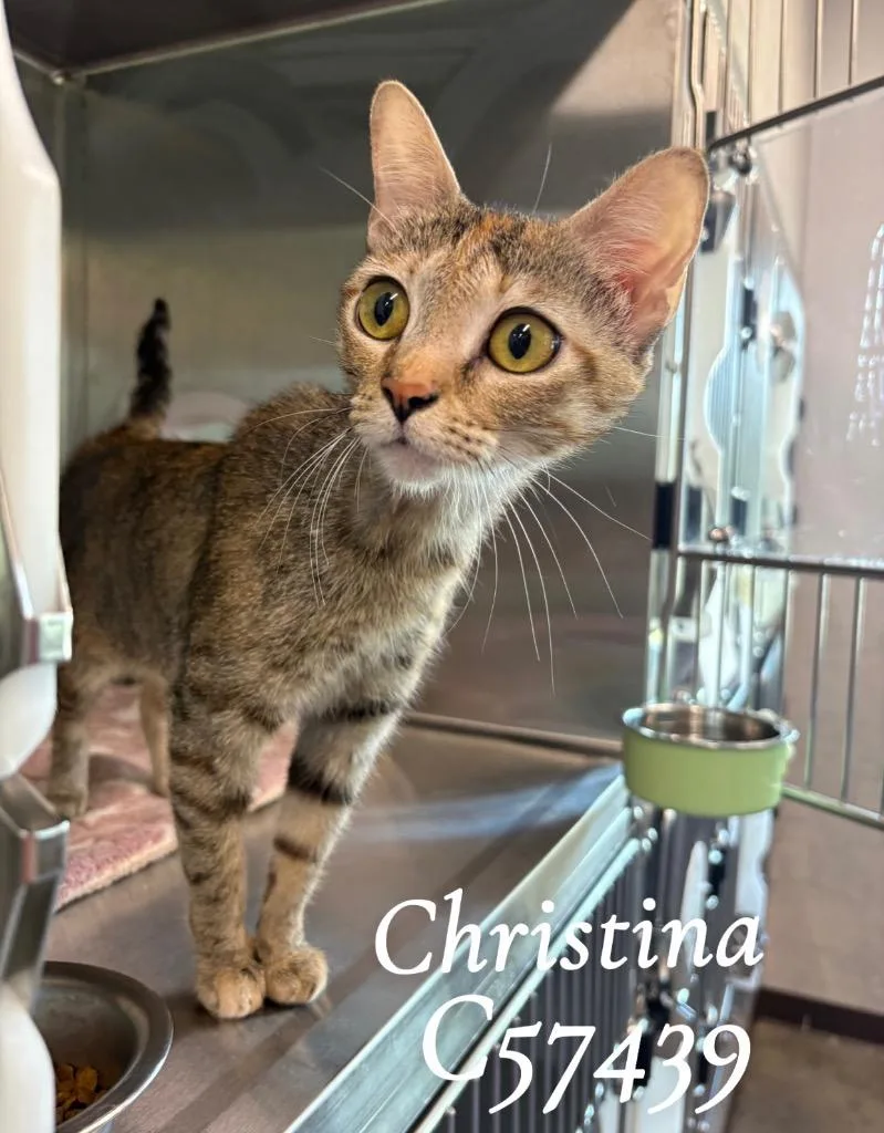 Christina thumbnail 2