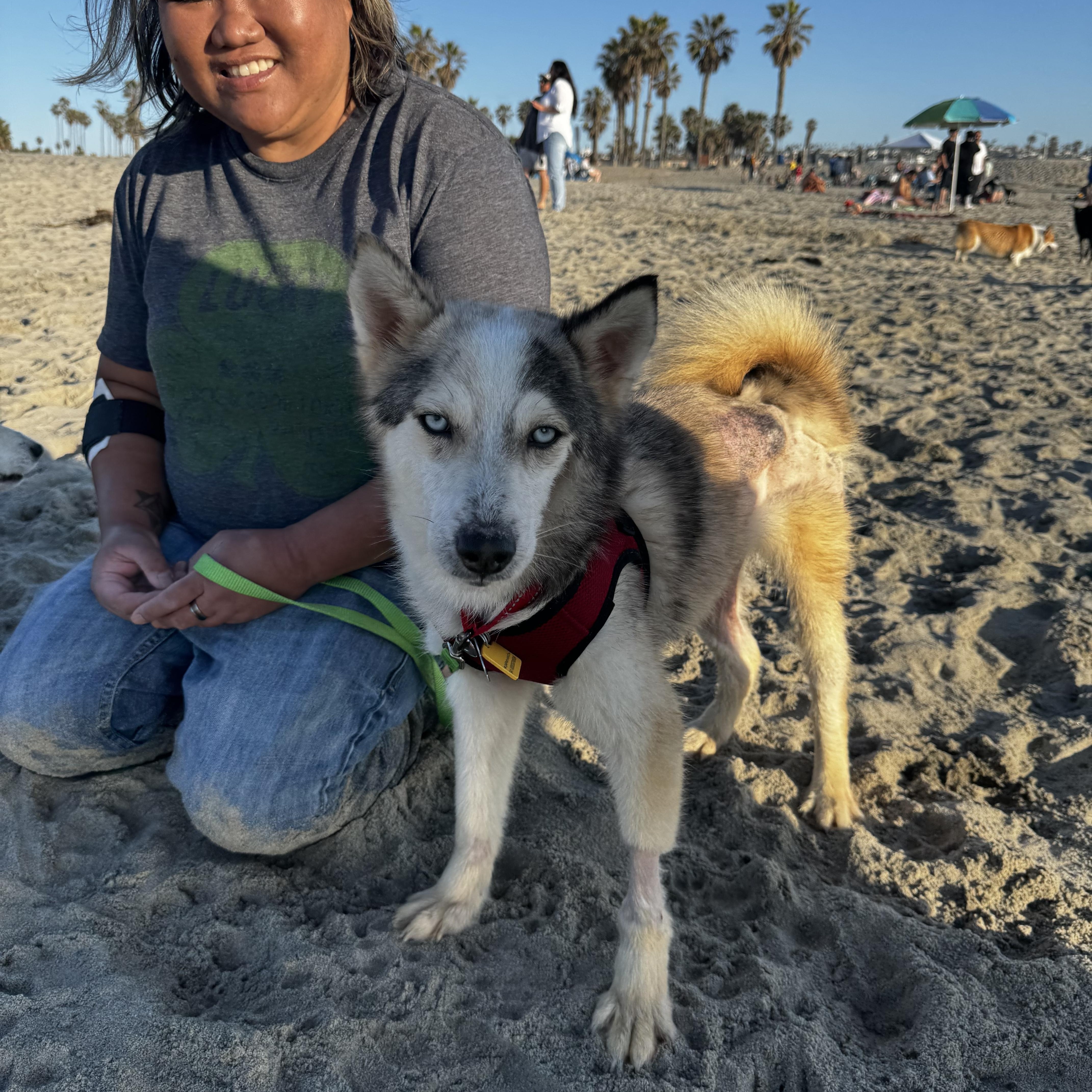 Joey Joseph thumbnail 2