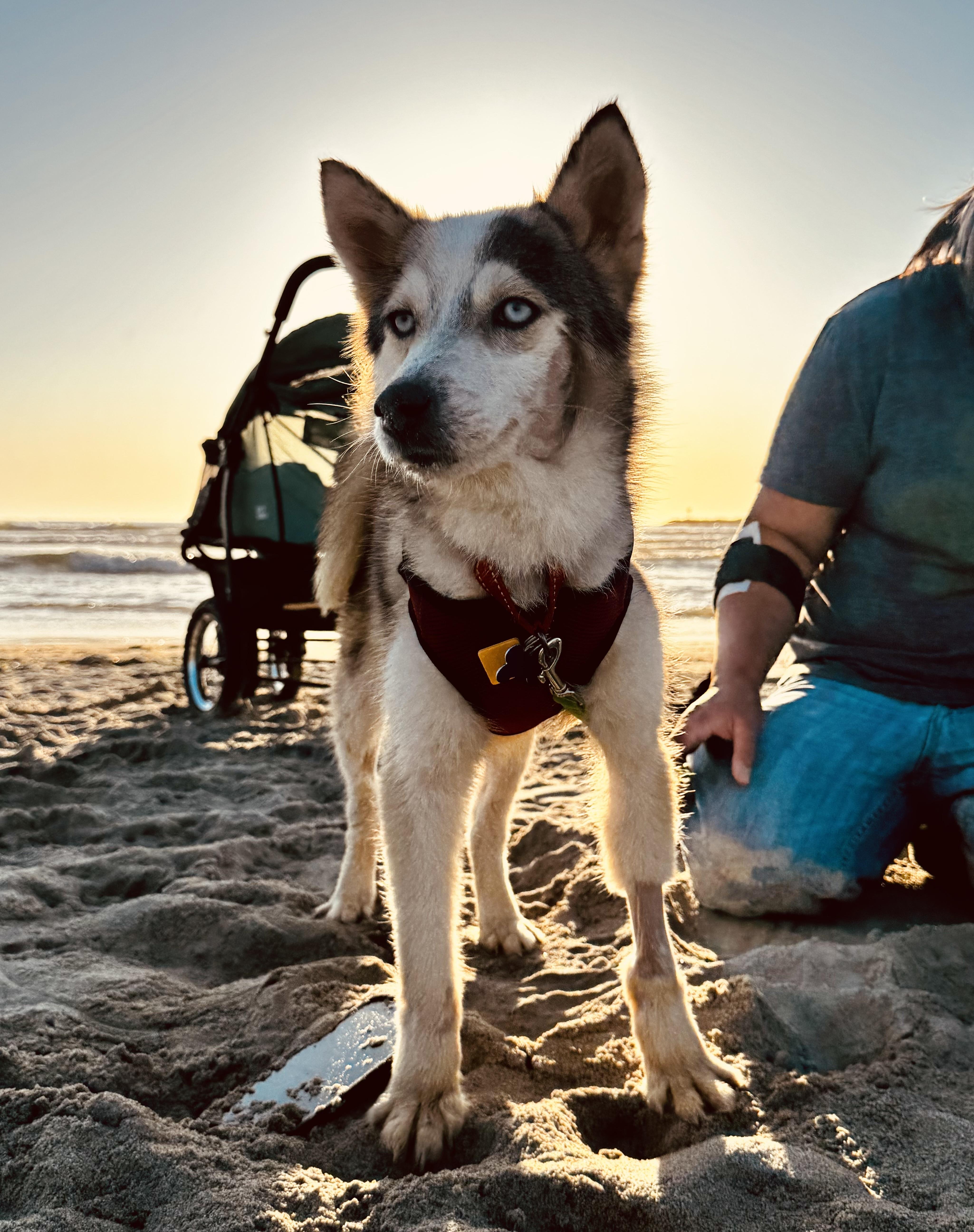 Joey Joseph thumbnail 4