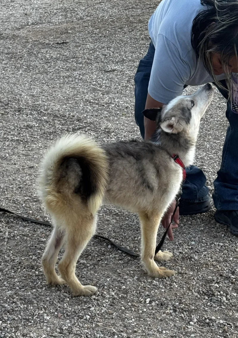 Joey Joseph thumbnail 6