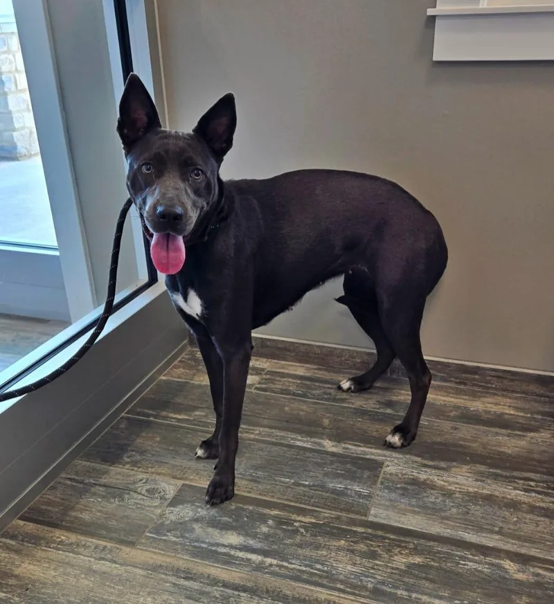 Grace Yrly thumbnail 2