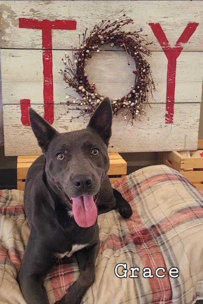 Grace Yrly thumbnail 3