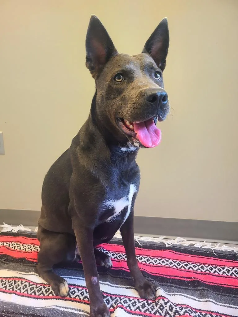 Grace Yrly thumbnail 4