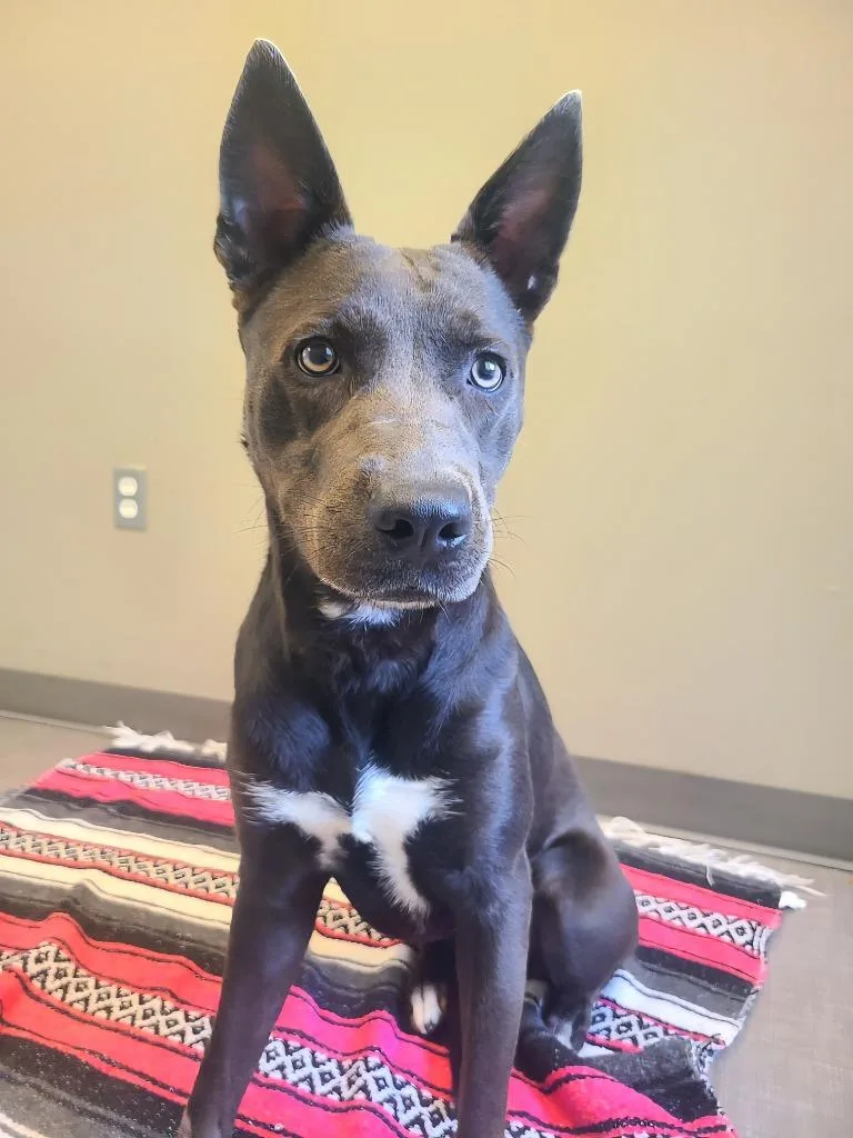 Grace Yrly thumbnail 5