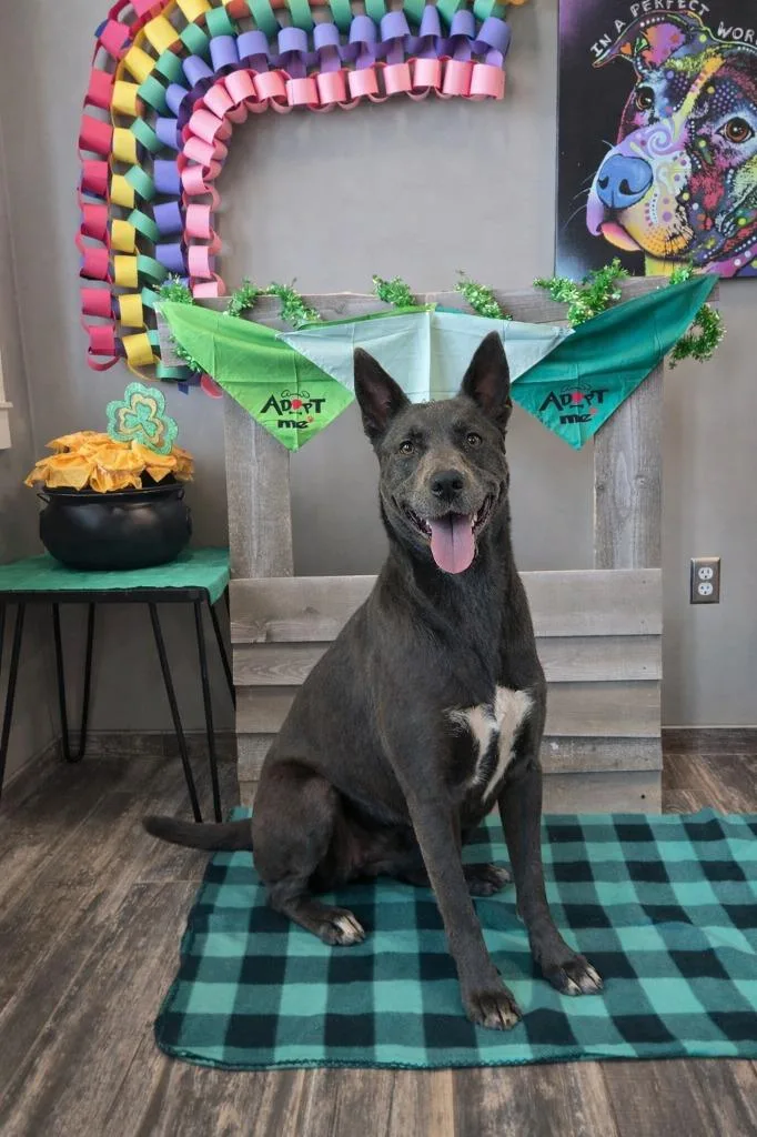 Grace Yrly thumbnail 6