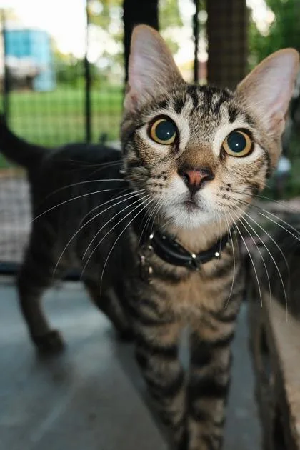 Midnight thumbnail 2