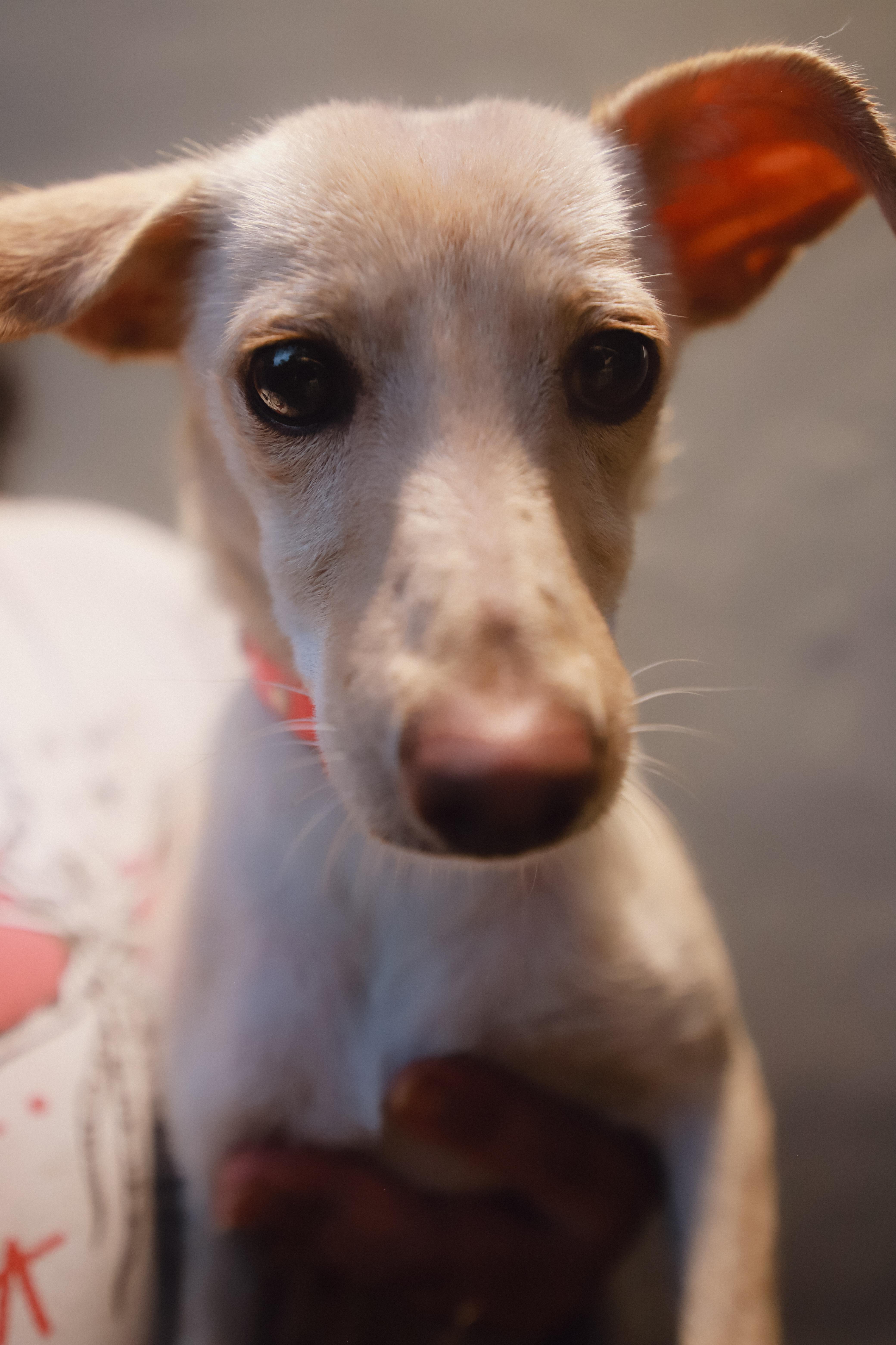 Gwen thumbnail 2