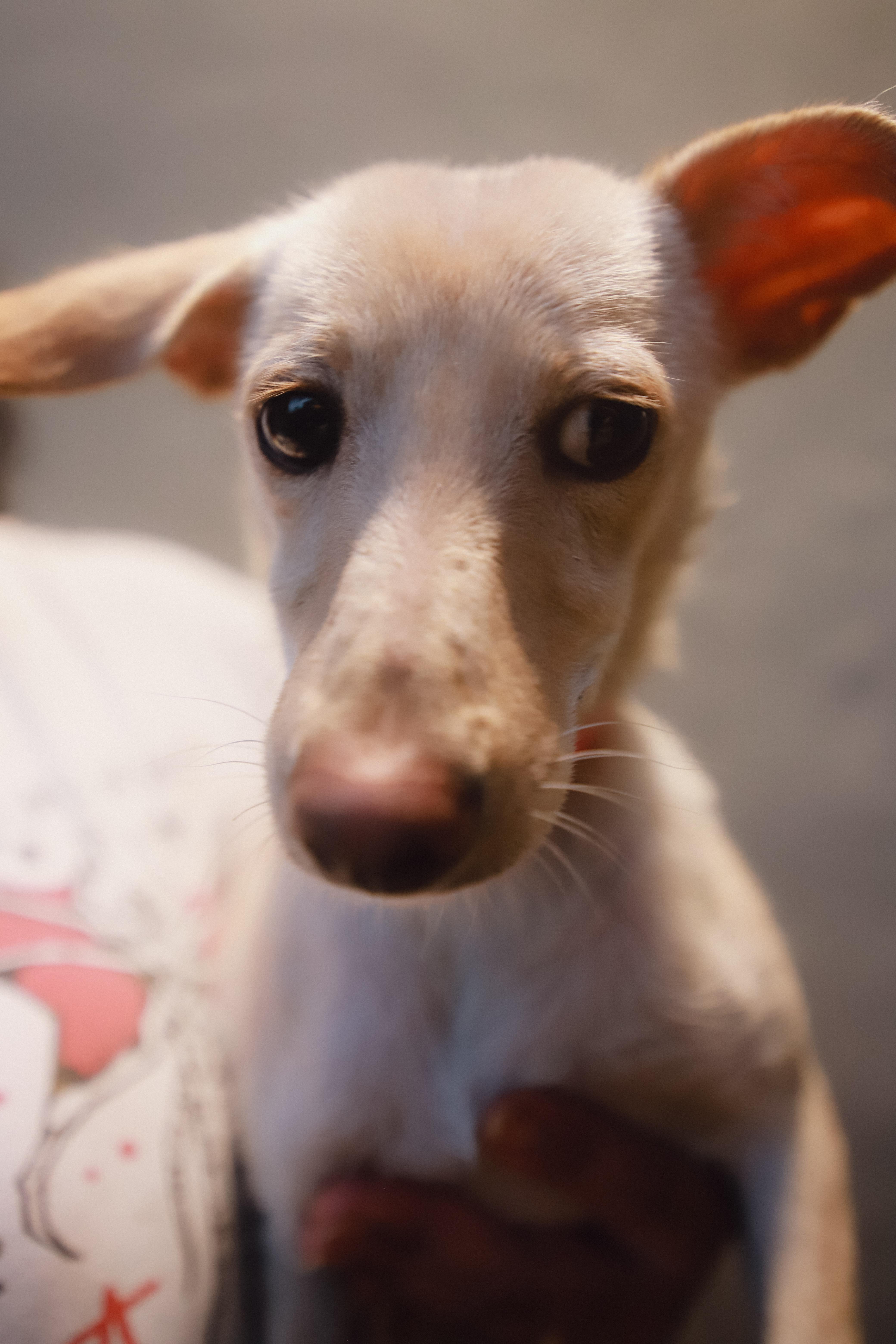 Gwen thumbnail 5