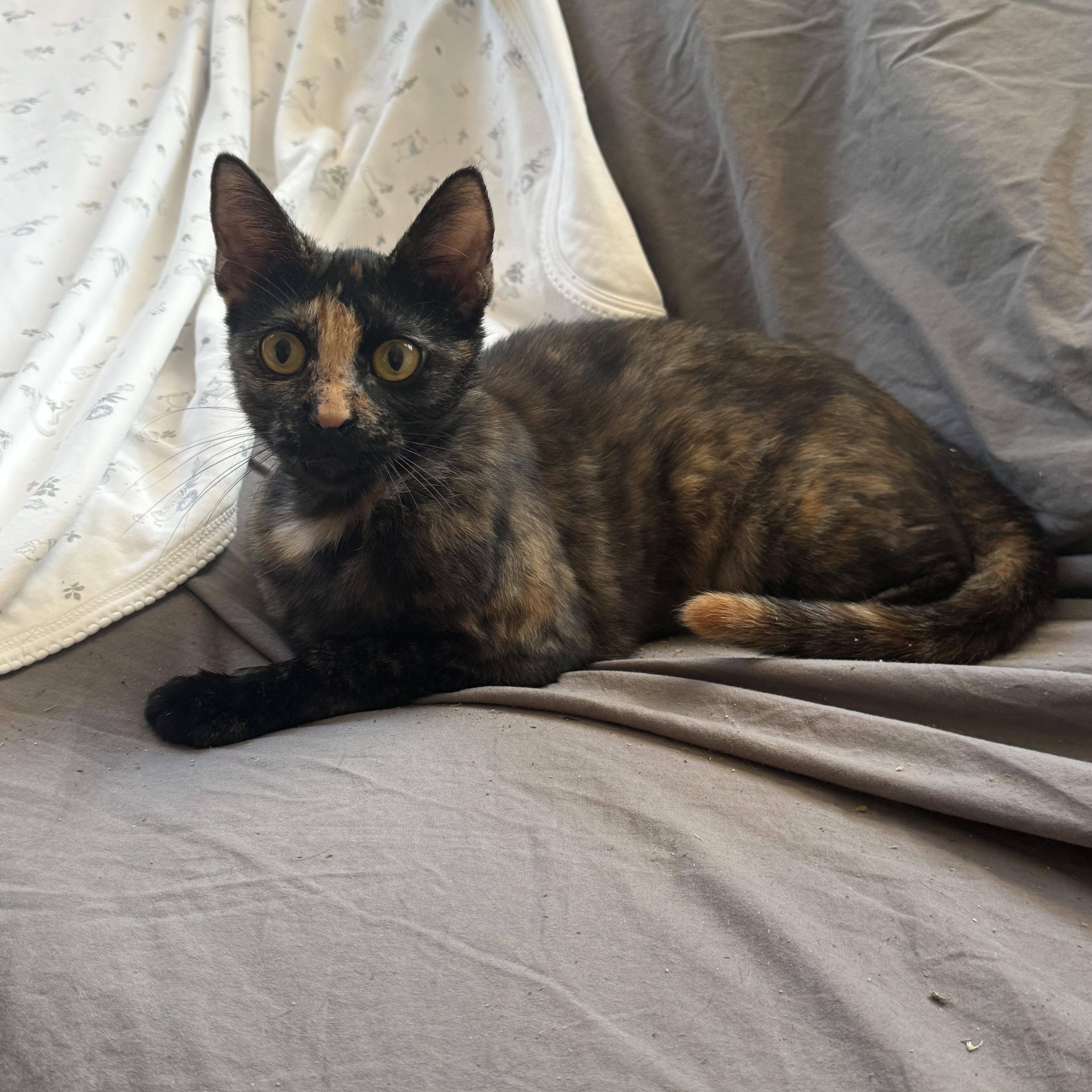 Mia