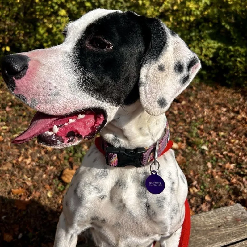 Freckles thumbnail 2