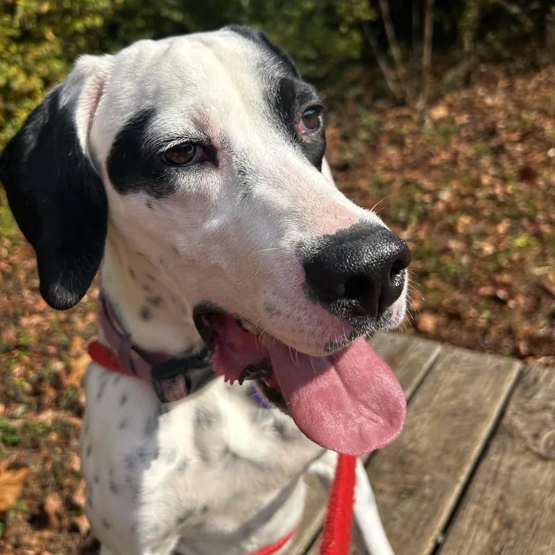 Freckles thumbnail 4