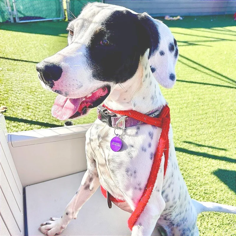 Freckles thumbnail 5