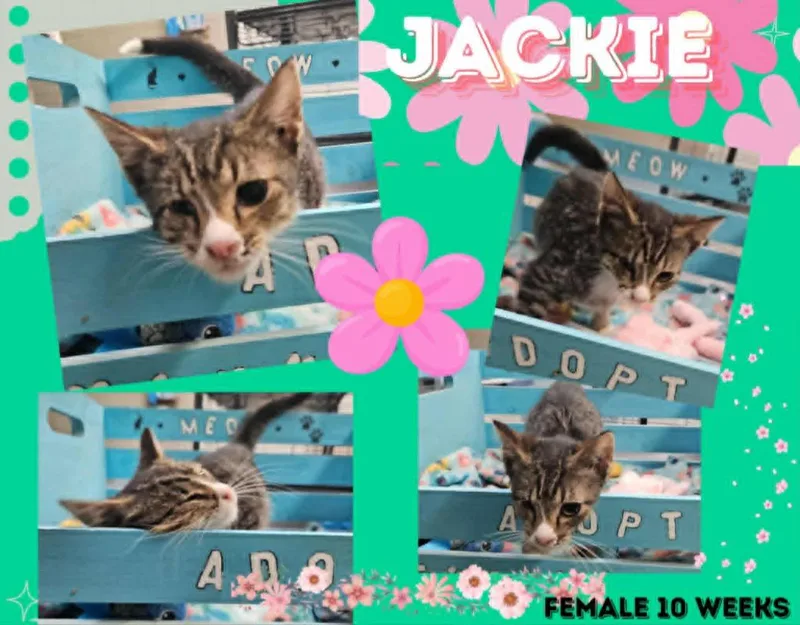 Jackie