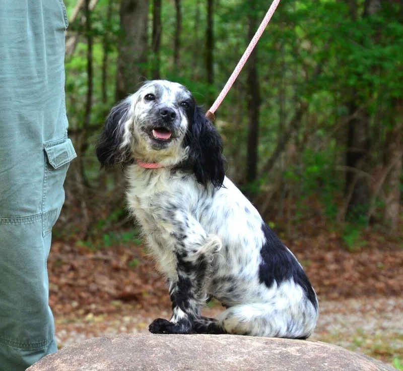 Cassie thumbnail 3