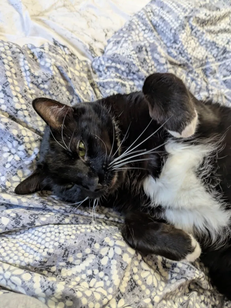 James Bond thumbnail 2