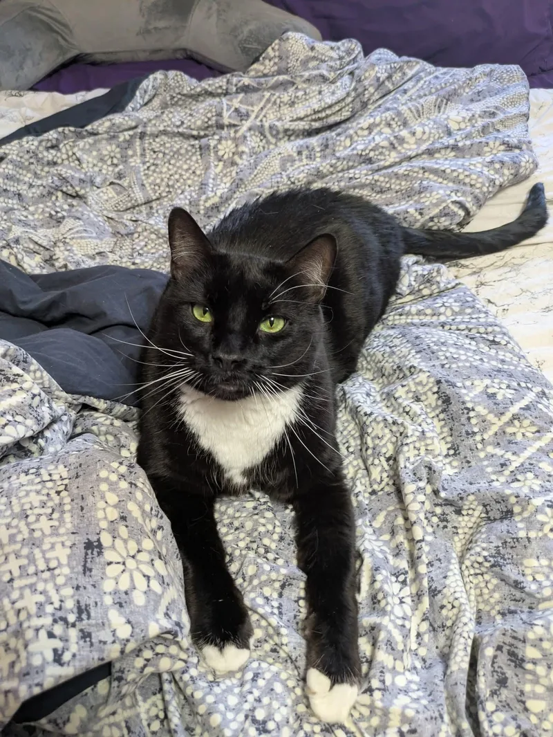 James Bond thumbnail 3