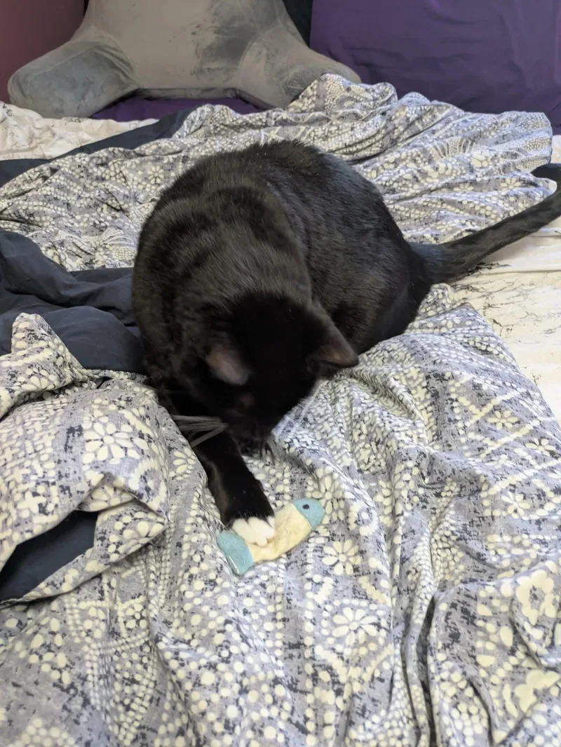 James Bond thumbnail 4