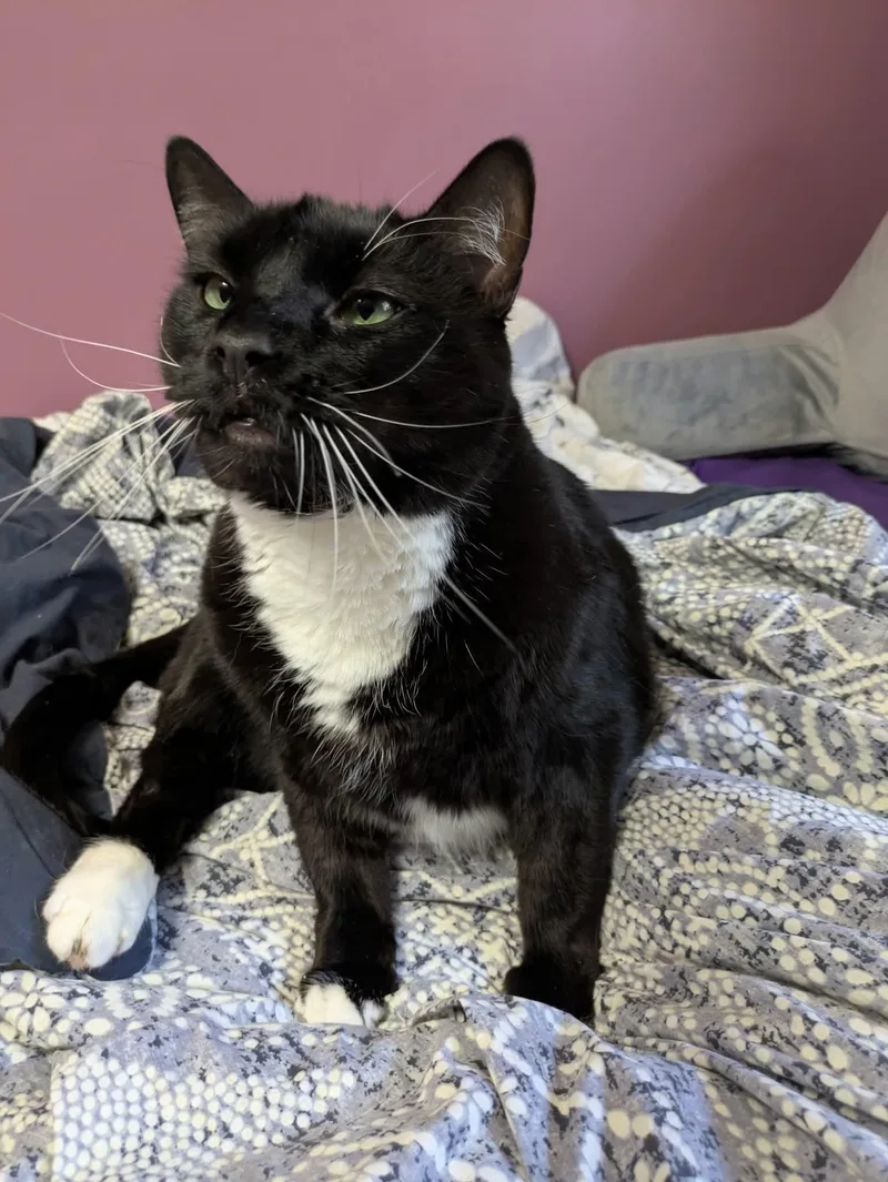 James Bond thumbnail 5