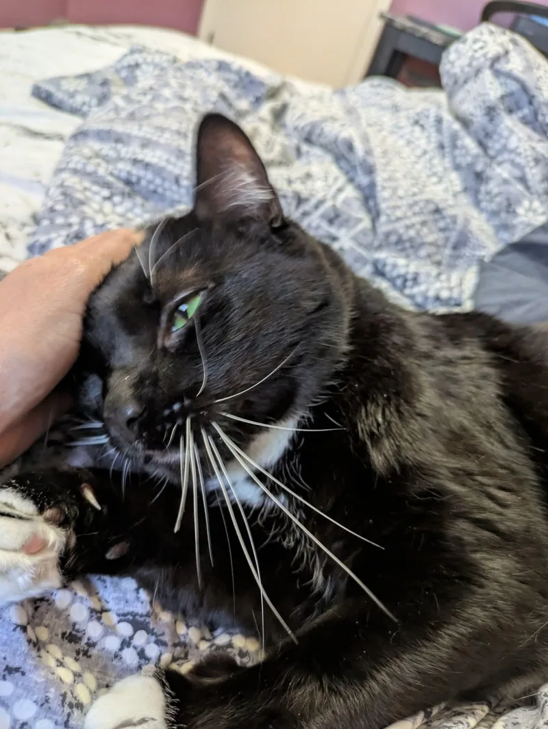 James Bond thumbnail 6