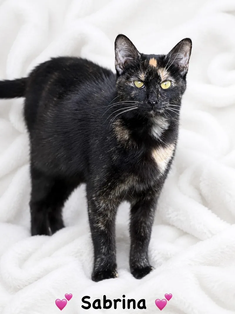 Sabrina