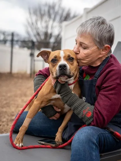 An adult medium-sized female Mixed Breed dog named Choose Love for adoption in Chamblee, GA