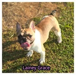 Lainey Grace