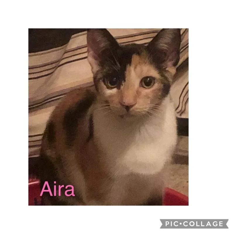 Aira Mirage thumbnail 2