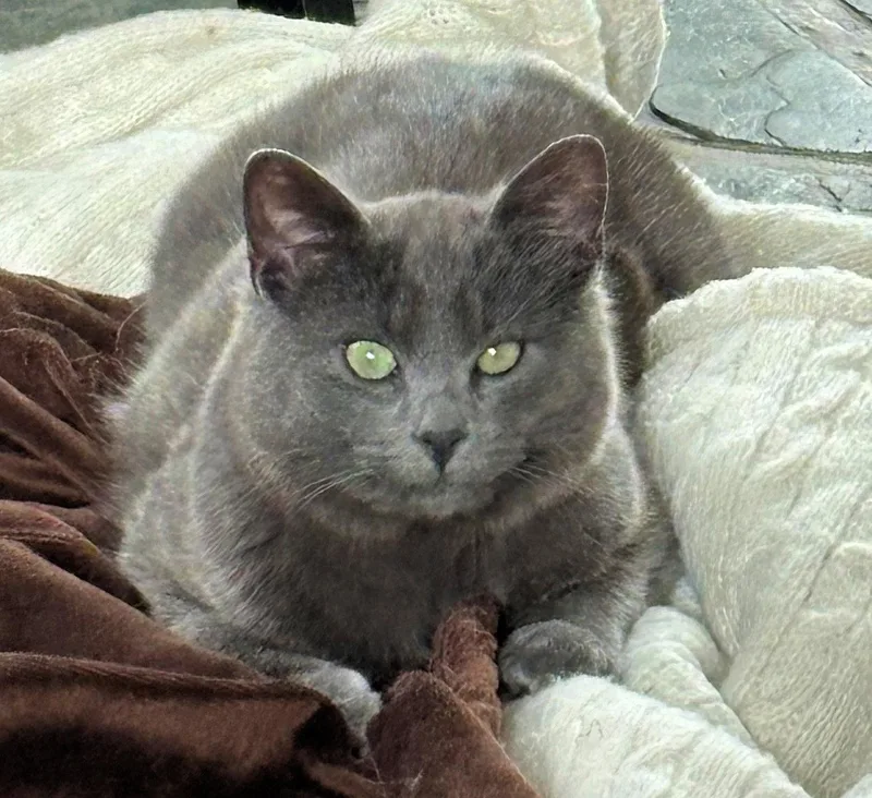 Courtesy Listing  Roger