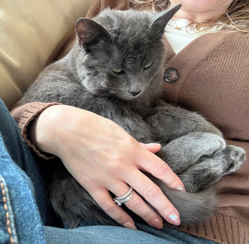 Courtesy Listing  Roger thumbnail 2