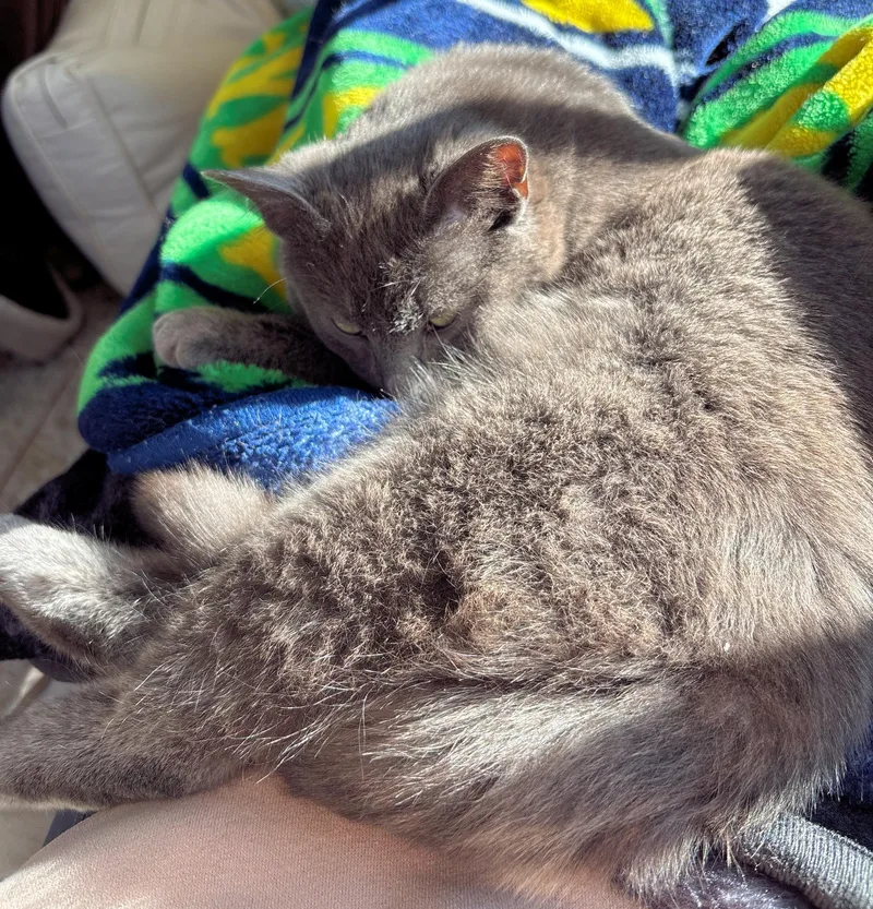 Courtesy Listing  Roger thumbnail 3