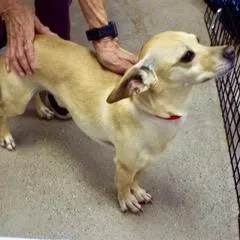 Buster thumbnail 2