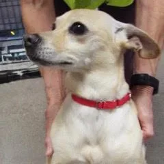 Buster thumbnail 5