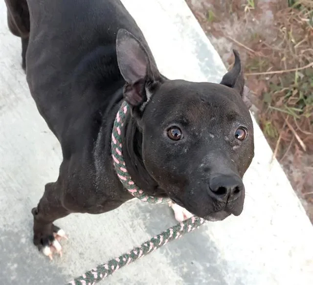 Eliza Thornberry thumbnail 2