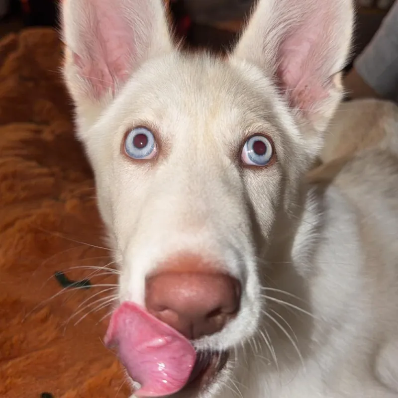 Tofu thumbnail 3