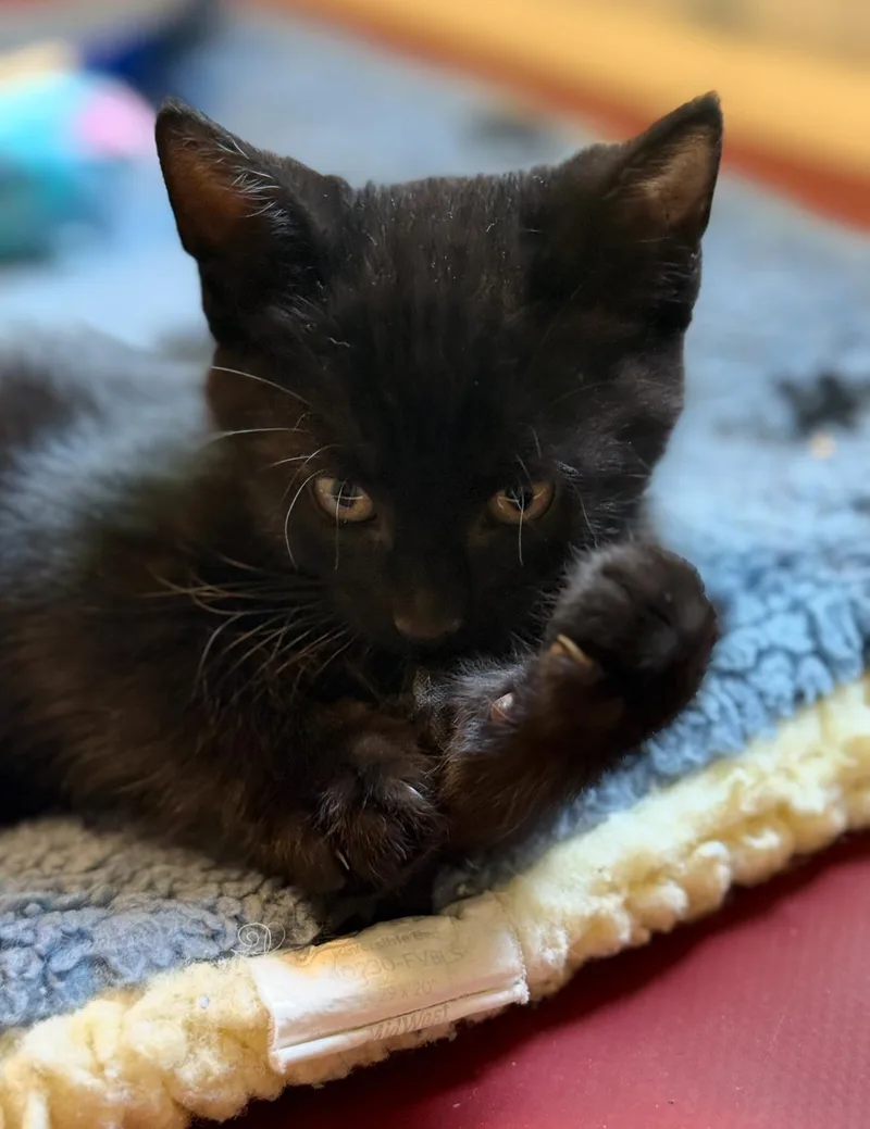 Bob Marley thumbnail 3