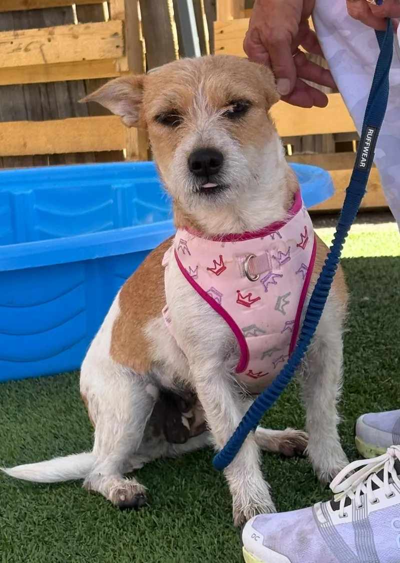 Dora