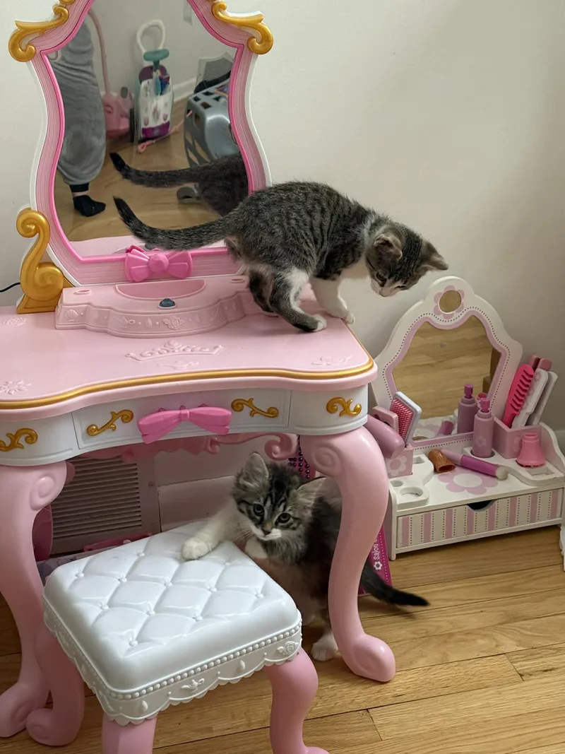 Bell And Chip thumbnail 2