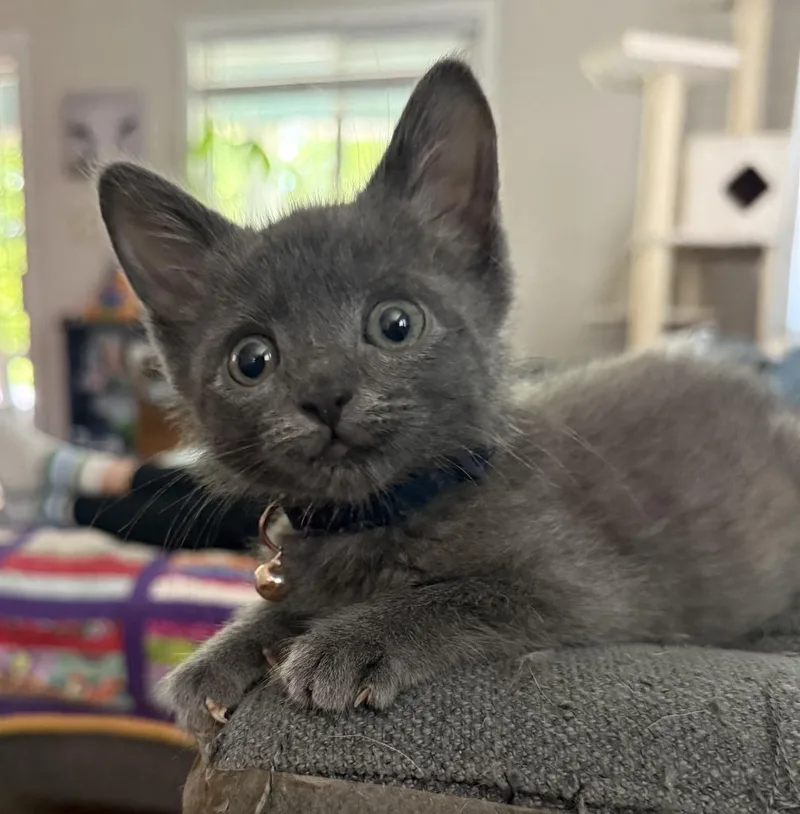 Gary