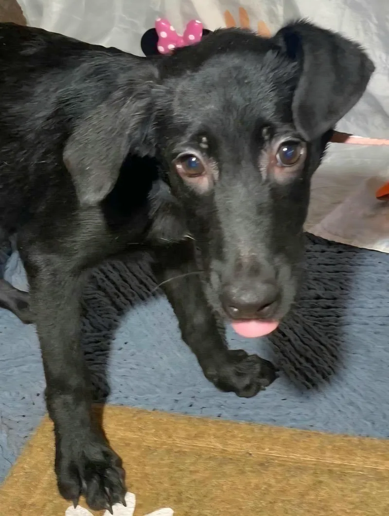 Susy "hugs & Kisses thumbnail 3