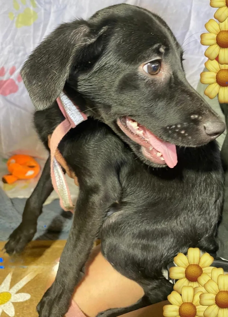 Susy "hugs & Kisses thumbnail 4