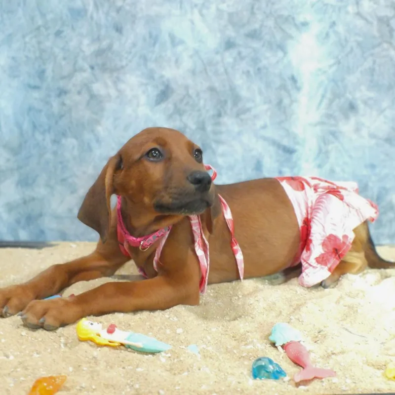 Tessa thumbnail 6