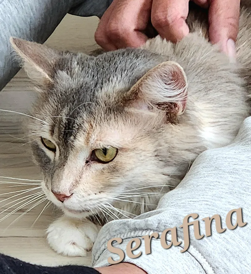 Serafina