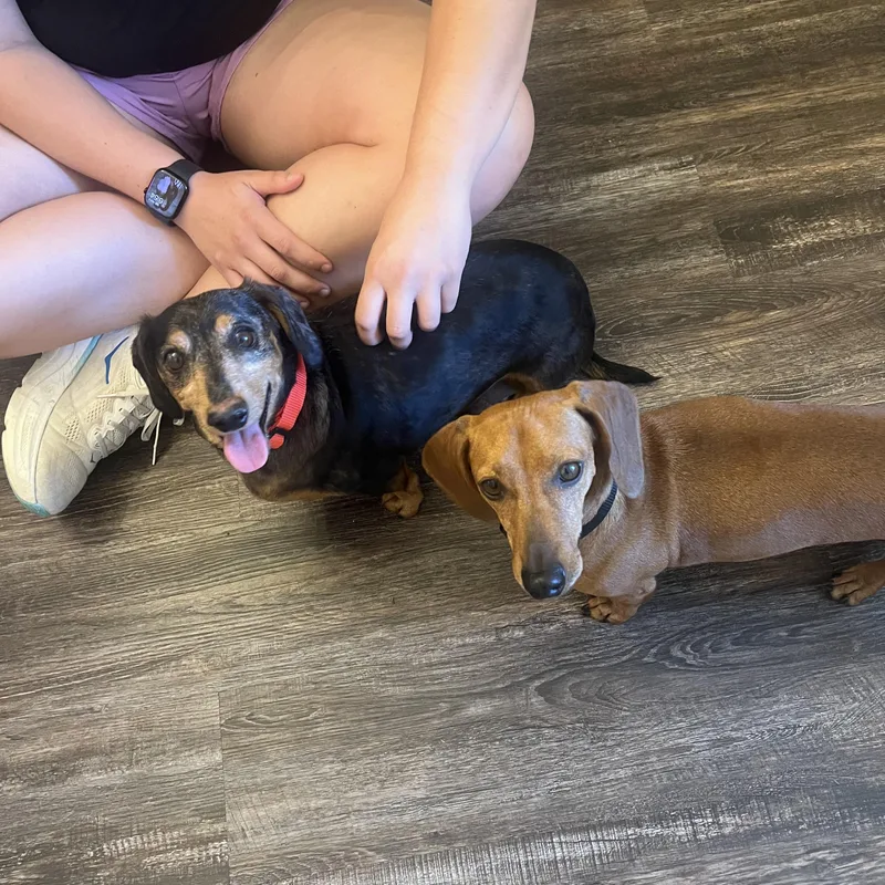 Winston And Maggie thumbnail 2
