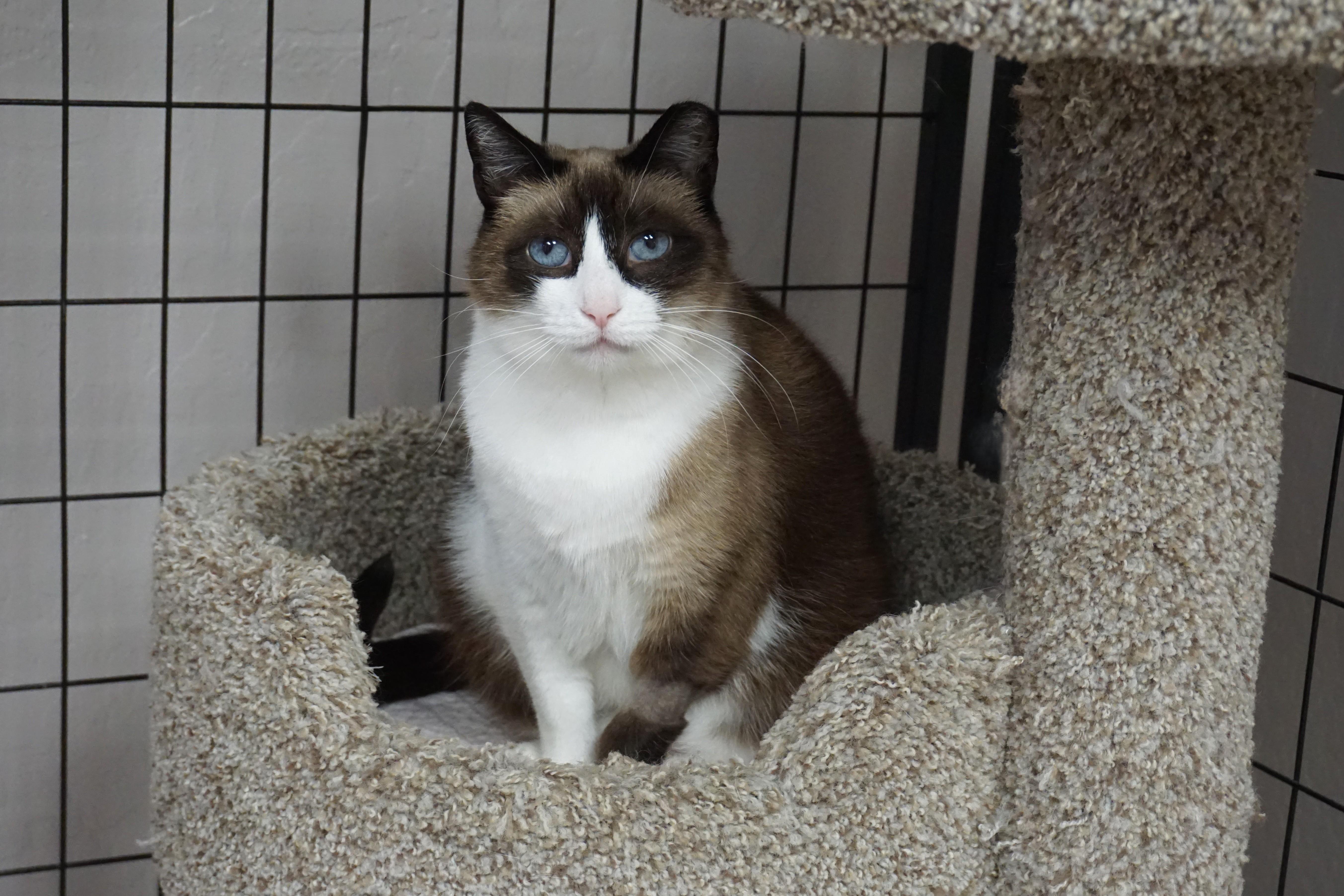Grumpkin