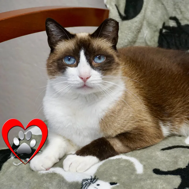 Grumpkin thumbnail 2