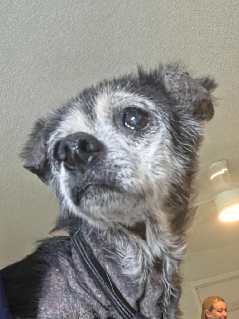 Zoe