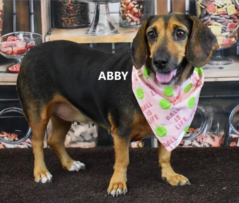 Abby